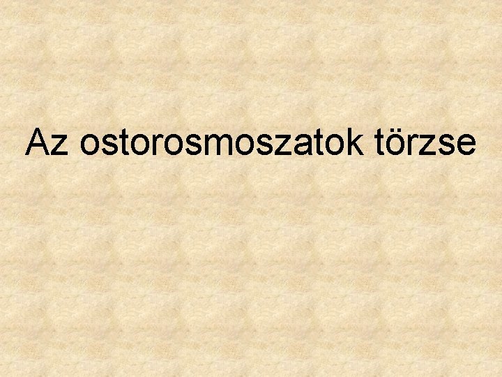 Az ostorosmoszatok törzse 