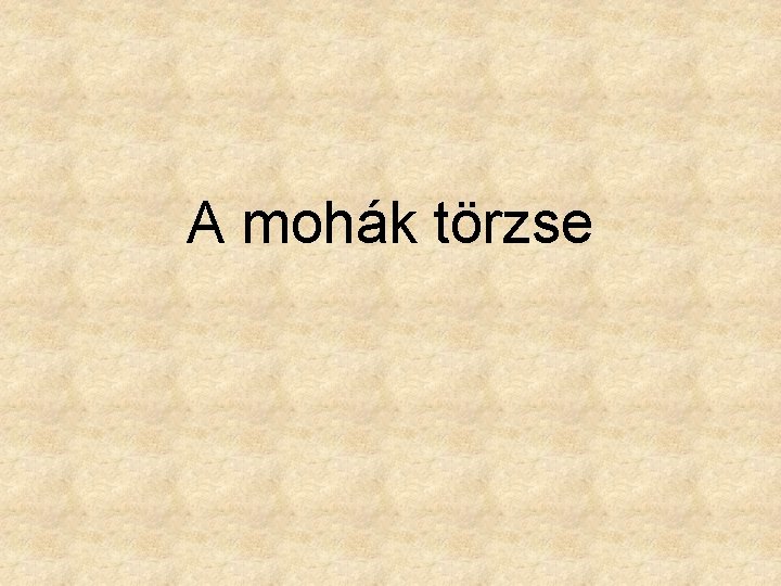 A mohák törzse 