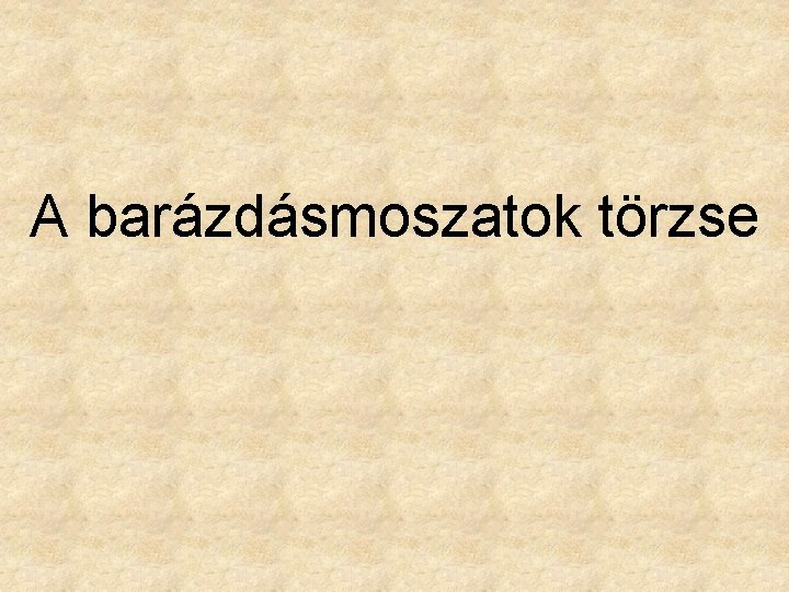 A barázdásmoszatok törzse 