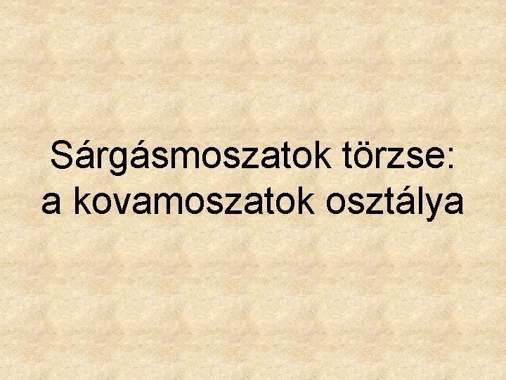 Sárgásmoszatok törzse: a kovamoszatok osztálya 