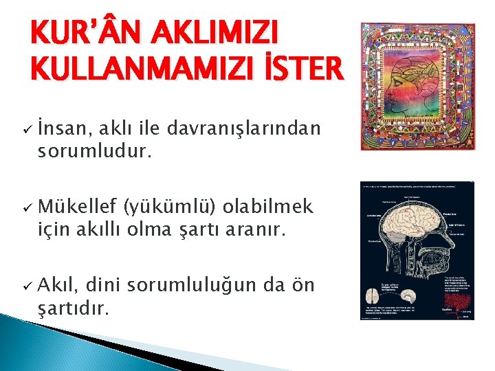 KUR’ N AKLIMIZI KULLANMAMIZI İSTER ü ü ü İnsan, aklı ile davranışlarından sorumludur. Mükellef