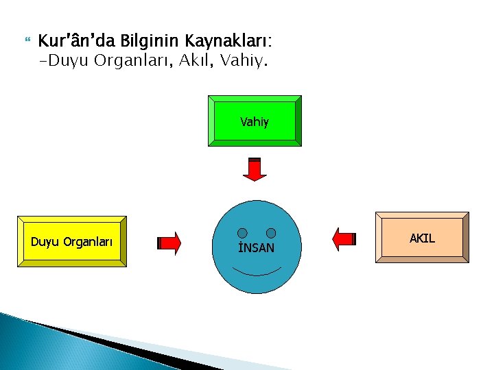  Kur’ân’da Bilginin Kaynakları: -Duyu Organları, Akıl, Vahiy Duyu Organları İNSAN AKIL 