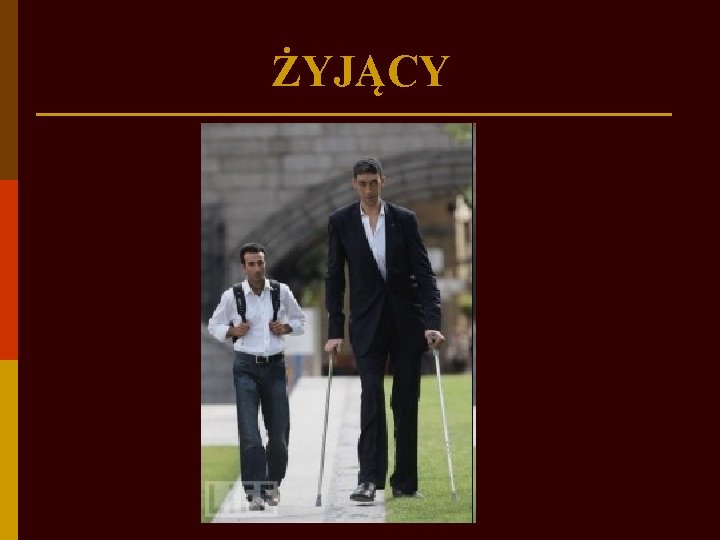 ŻYJĄCY 