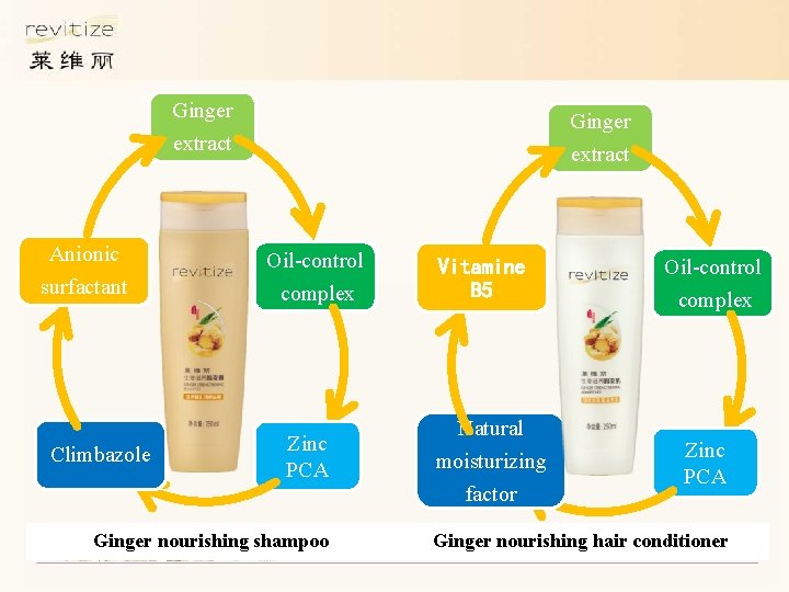 Ginger extract Anionic Oil-control surfactant complex Climbazole Zinc PCA Ginger nourishing shampoo Vitamine B