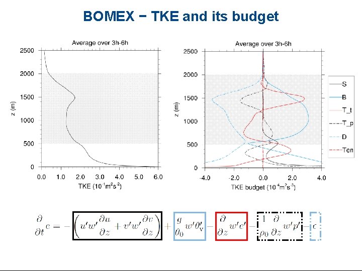 BOMEX − TKE and its budget 