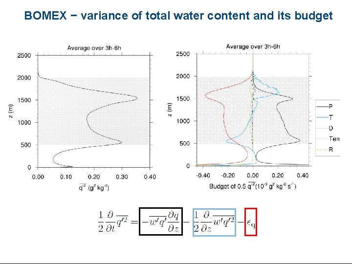 BOMEX − variance of total water content and its budget 