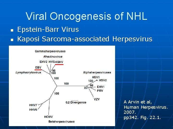 Viral Oncogenesis of NHL n n Epstein-Barr Virus Kaposi Sarcoma-associated Herpesvirus A Arvin et