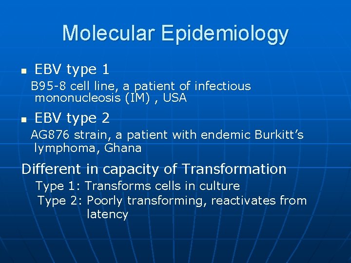 Molecular Epidemiology n EBV type 1 B 95 -8 cell line, a patient of