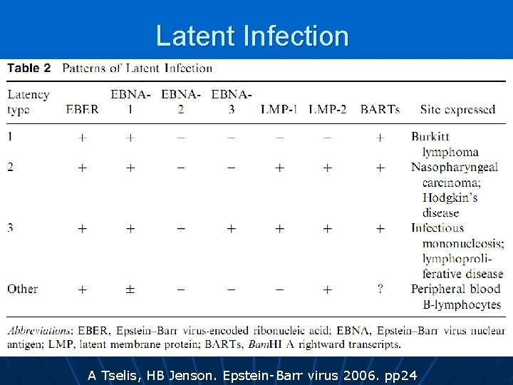 Latent Infection A Tselis, HB Jenson. Epstein-Barr virus 2006. pp 24 