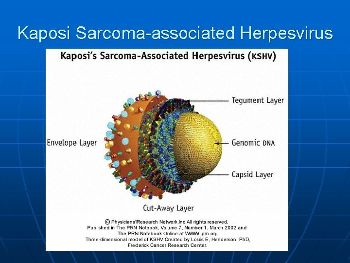 Kaposi Sarcoma-associated Herpesvirus 