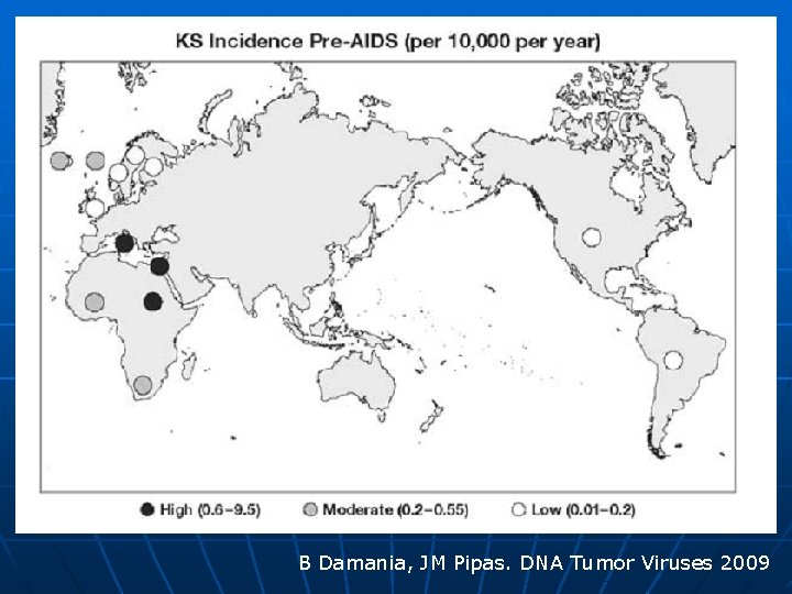 B Damania, JM Pipas. DNA Tumor Viruses 2009 