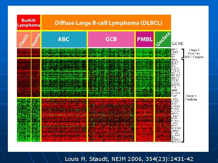 Louis M. Staudt, NEJM 2006, 354(23): 2431 -42 