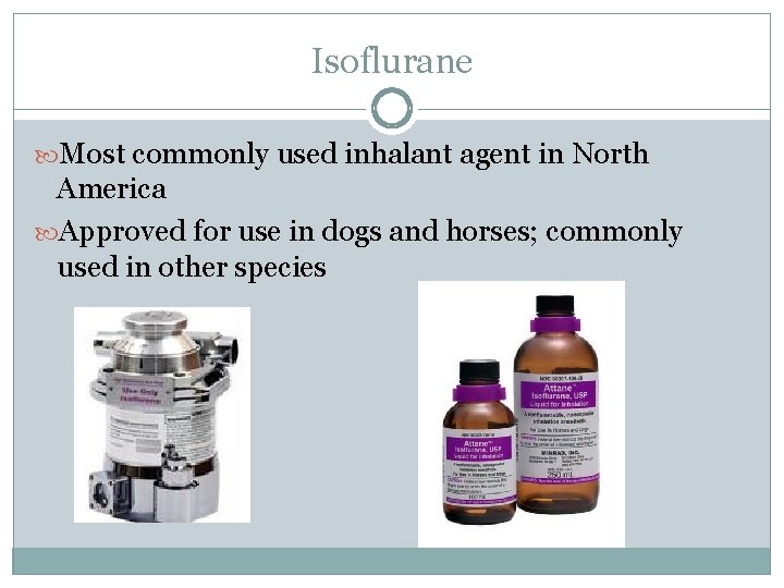 Isoflurane Most commonly used inhalant agent in North America Approved for use in dogs