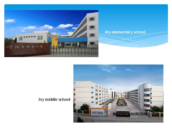 My elementary school My middle school 