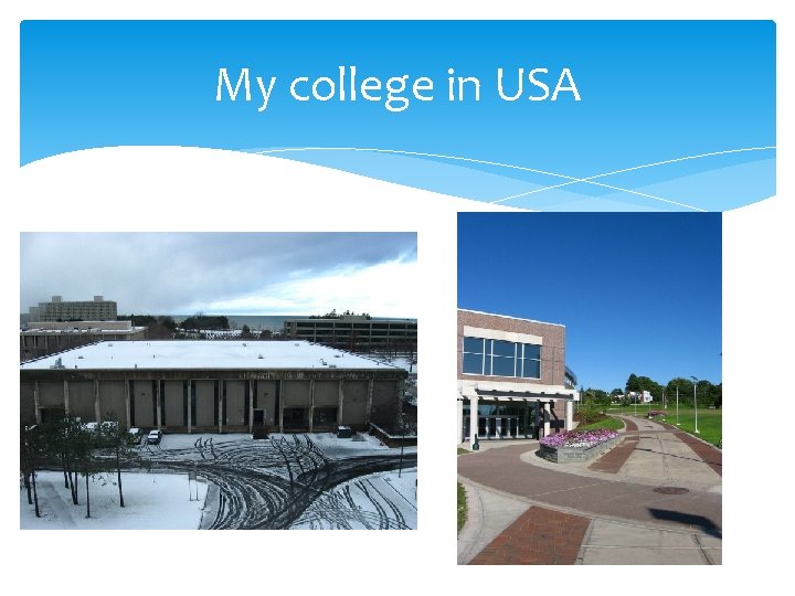 My college in USA 