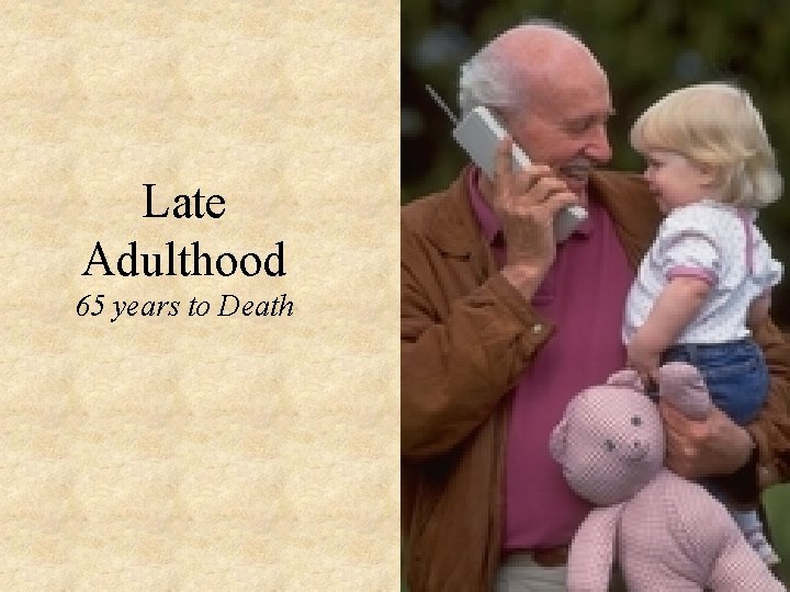 Late Adulthood 65 years to Death 