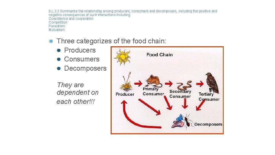 8. L. 3. 2 Summarize the relationship among producers, consumers and decomposers, including the