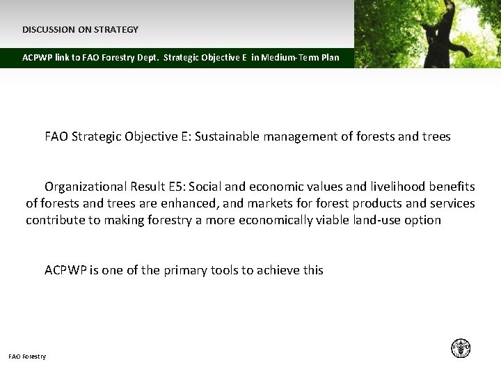 DISCUSSION ON STRATEGY ACPWP link to FAO Forestry Dept. Strategic Objective E in Medium-Term