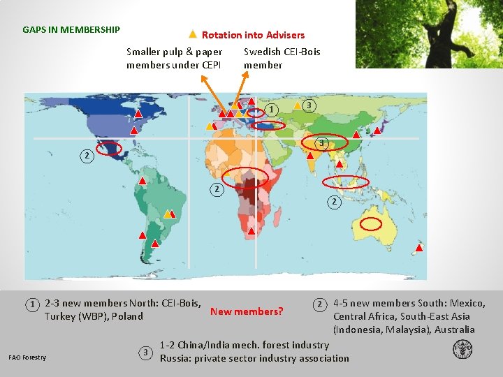 GAPS IN MEMBERSHIP Rotation into Advisers Smaller pulp & paper Swedish CEI-Bois members under