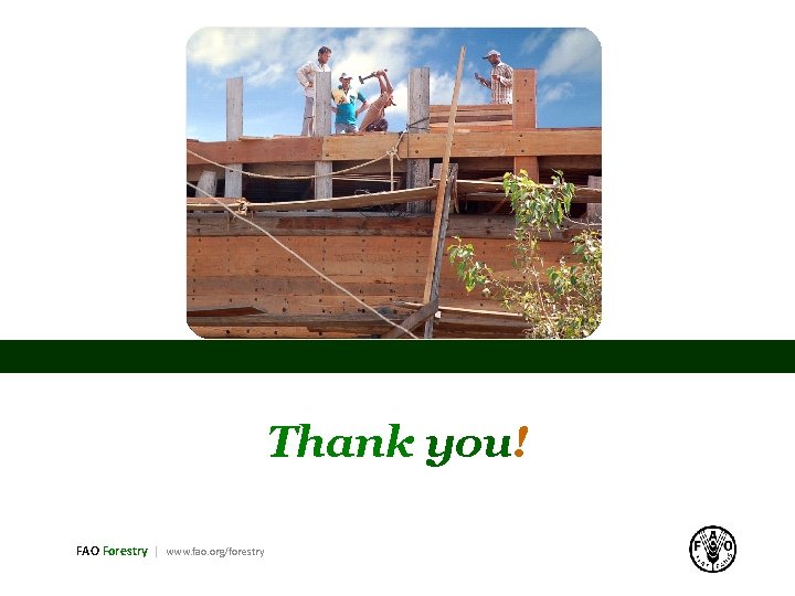 Thank you! FAO Forestry | www. fao. org/forestry 