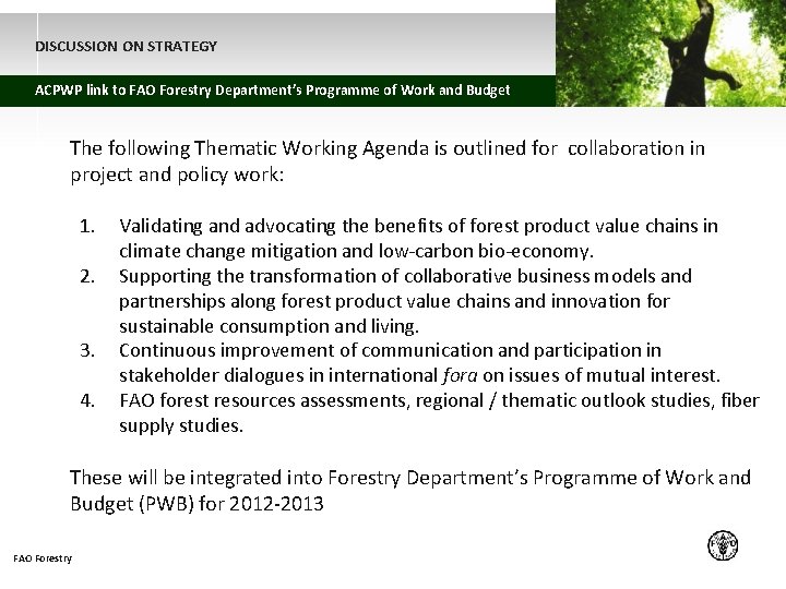 DISCUSSION ON STRATEGY ACPWP link to FAO Forestry Department’s Programme of Work and Budget