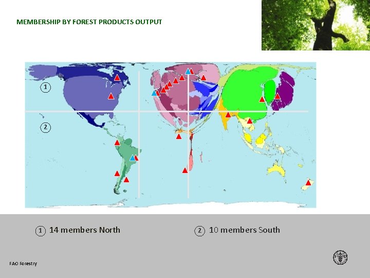 MEMBERSHIP BY FOREST PRODUCTS OUTPUT 1 2 1 FAO Forestry 14 members North 2