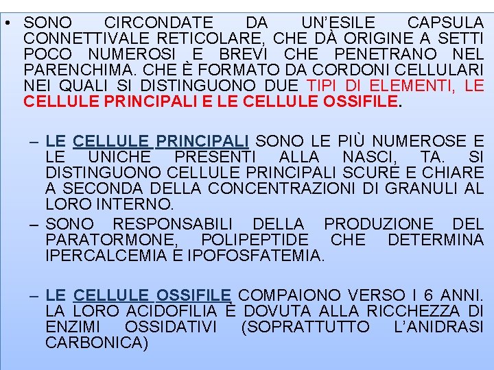  • SONO CIRCONDATE DA UN’ESILE CAPSULA CONNETTIVALE RETICOLARE, CHE DÀ ORIGINE A SETTI