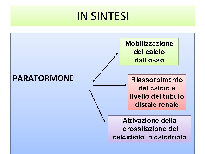 IN SINTESI Mobilizzazione del calcio dall’osso PARATORMONE Riassorbimento del calcio a livello del tubulo