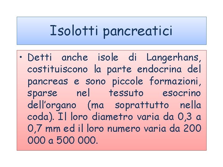 Isolotti pancreatici • Detti anche isole di Langerhans, costituiscono la parte endocrina del pancreas