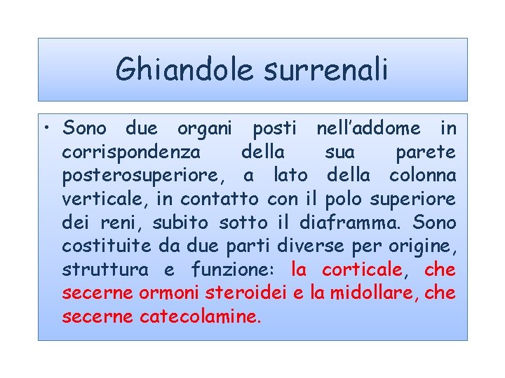 Ghiandole surrenali • Sono due organi posti nell’addome in corrispondenza della sua parete posterosuperiore,