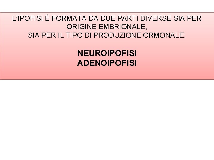 L’IPOFISI È FORMATA DA DUE PARTI DIVERSE SIA PER ORIGINE EMBRIONALE, SIA PER IL