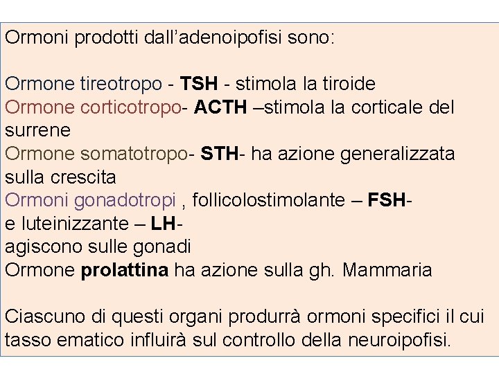 Ormoni prodotti dall’adenoipofisi sono: Ormone tireotropo - TSH - stimola la tiroide Ormone corticotropo-