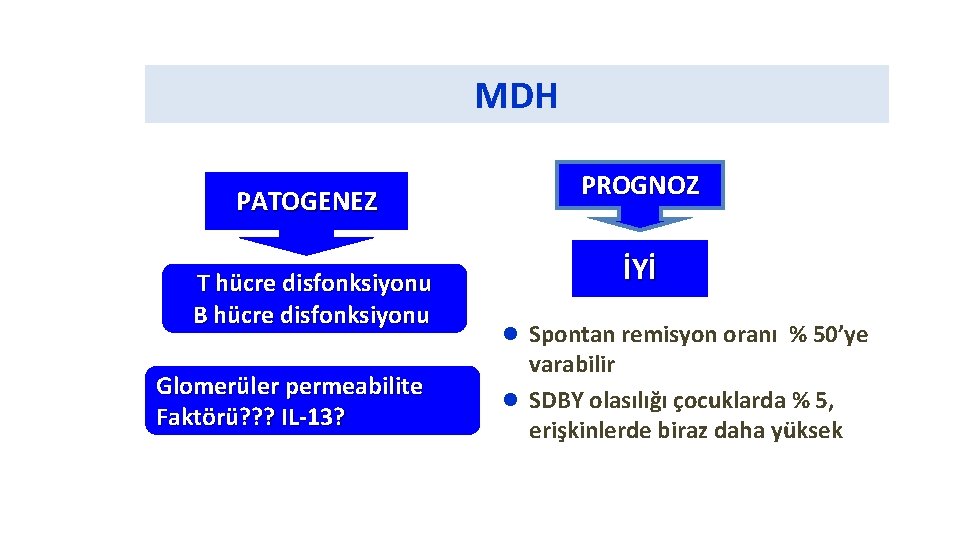 MDH PATOGENEZ T hücre disfonksiyonu B hücre disfonksiyonu Glomerüler permeabilite Faktörü? ? ? IL-13?