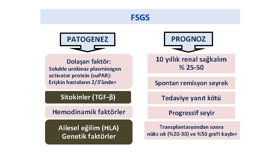 FSGS PATOGENEZ Dolaşan faktör: Soluble urokinaz plasminogen activator protein (su. PAR): Erişkin hastaların 2/3’ünde+