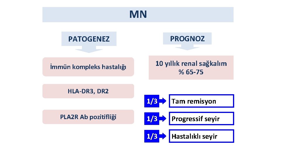 MN PROGNOZ PATOGENEZ İmmün kompleks hastalığı 10 yıllık renal sağkalım % 65 -75 HLA-DR