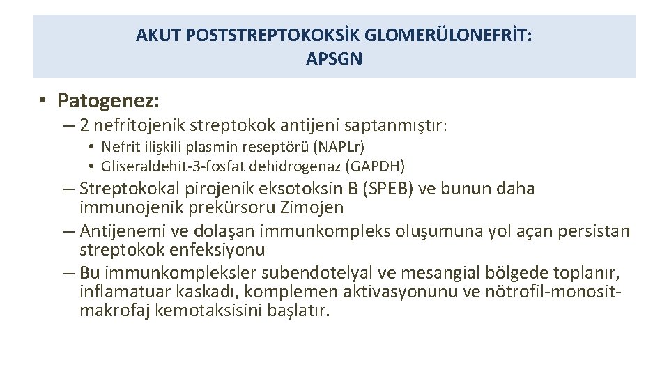 AKUT POSTSTREPTOKOKSİK GLOMERÜLONEFRİT: APSGN • Patogenez: – 2 nefritojenik streptokok antijeni saptanmıştır: • Nefrit