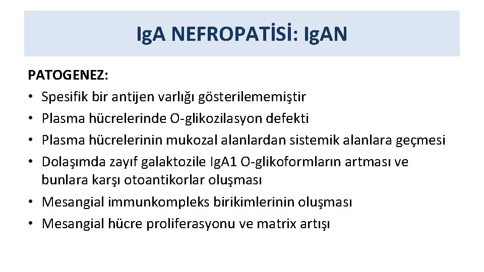 Ig. A NEFROPATİSİ: Ig. AN PATOGENEZ: • Spesifik bir antijen varlığı gösterilememiştir • Plasma