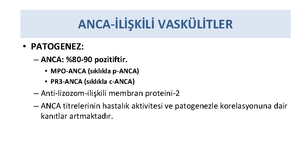 ANCA-İLİŞKİLİ VASKÜLİTLER • PATOGENEZ: – ANCA: %80 -90 pozitiftir. • MPO-ANCA (sıklıkla p-ANCA) •