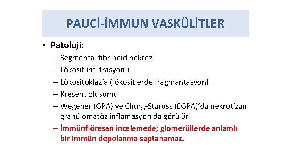 PAUCİ-İMMUN VASKÜLİTLER • Patoloji: – Segmental fibrinoid nekroz – Lökosit infiltrasyonu – Lökositoklazia (lökositlerde