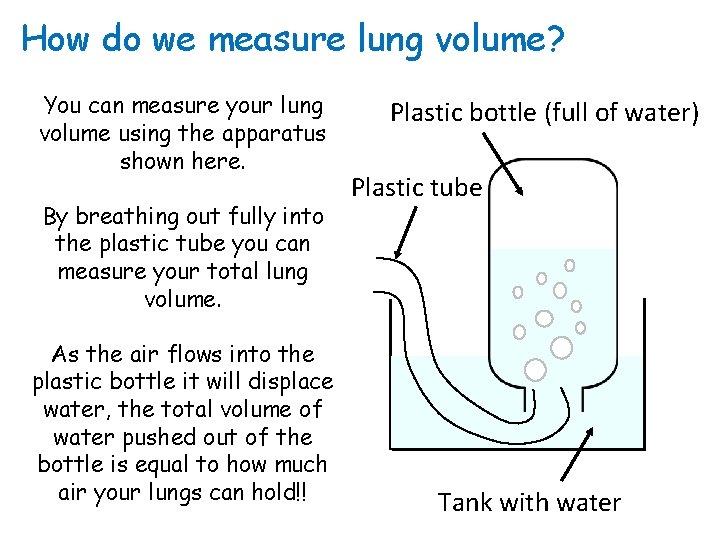 How do we measure lung volume? You can measure your lung volume using the