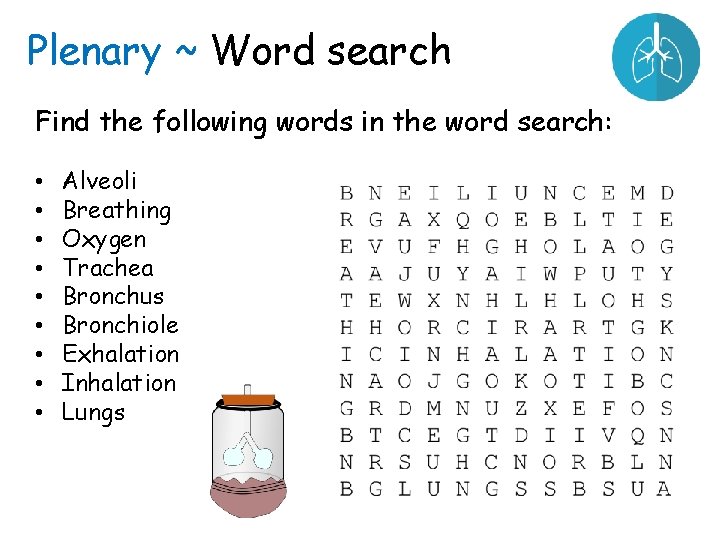 Plenary ~ Word search Find the following words in the word search: • •