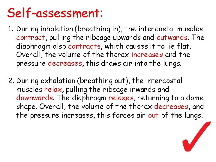 Self-assessment: 1. During inhalation (breathing in), the intercostal muscles contract, pulling the ribcage upwards