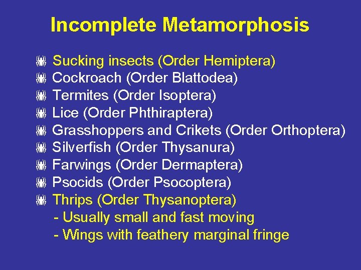 Incomplete Metamorphosis Sucking insects (Order Hemiptera) Cockroach (Order Blattodea) Termites (Order Isoptera) Lice (Order