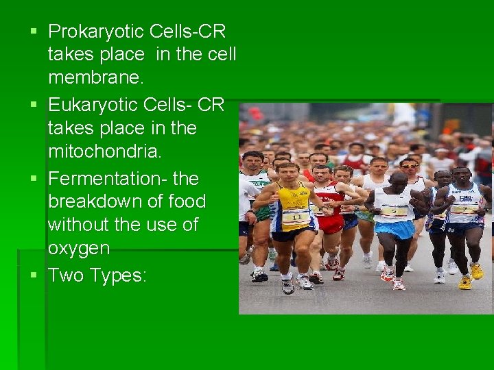 § Prokaryotic Cells-CR takes place in the cell membrane. § Eukaryotic Cells- CR takes