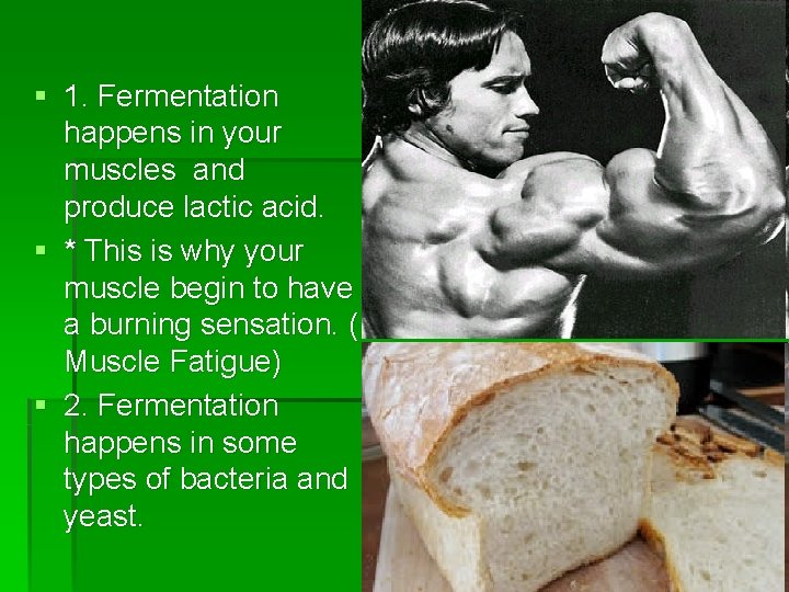 § 1. Fermentation happens in your muscles and produce lactic acid. § * This
