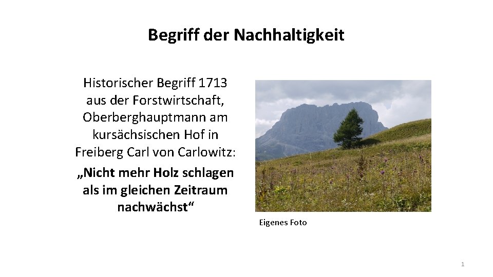 Begriff der Nachhaltigkeit Historischer Begriff 1713 aus der Forstwirtschaft, Oberberghauptmann am kursächsischen Hof in