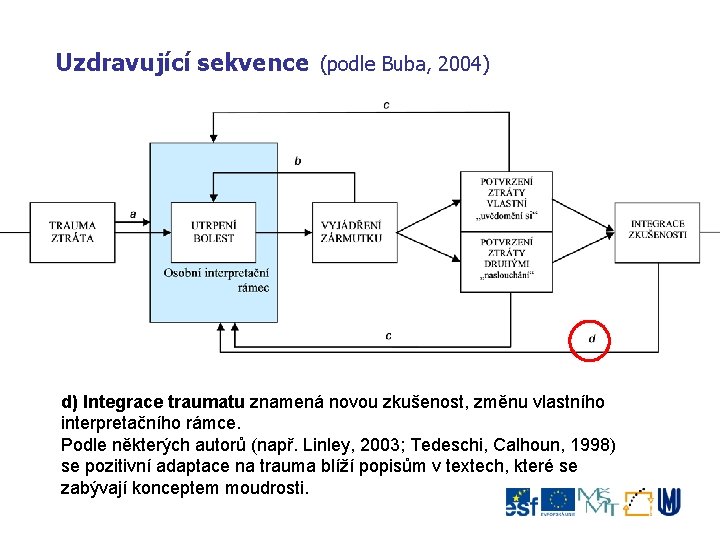 Uzdravující sekvence (podle Buba, 2004) d) Integrace traumatu znamená novou zkušenost, změnu vlastního interpretačního