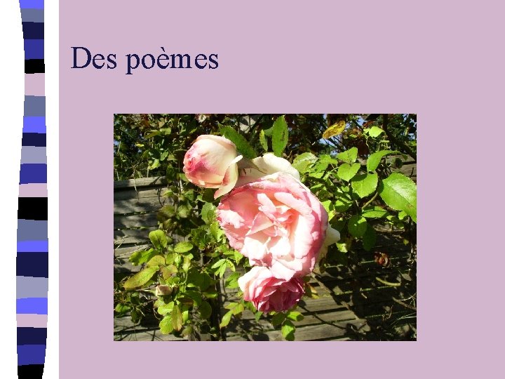 Des poèmes 