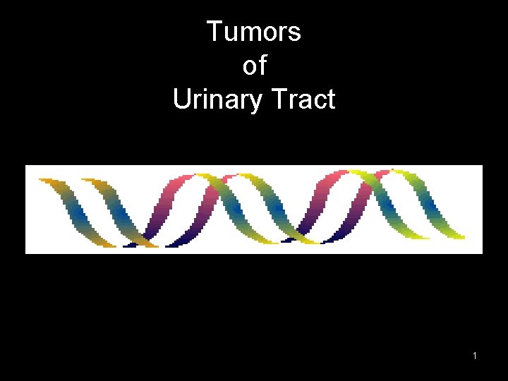 Tumors of Urinary Tract 1 