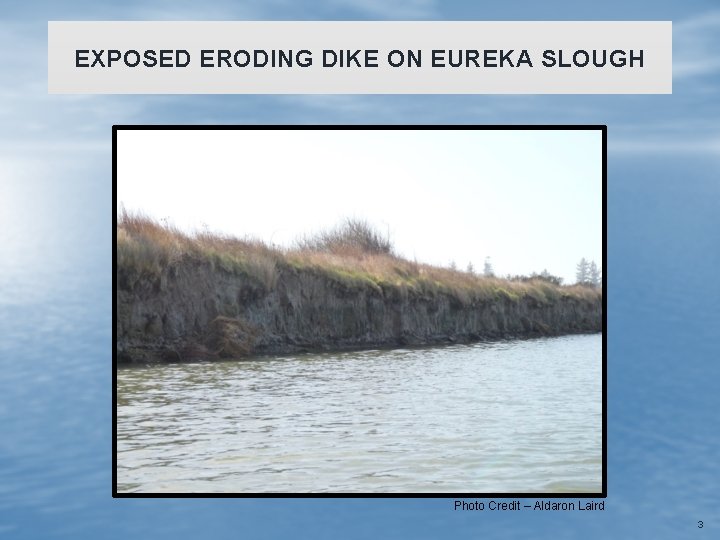EXPOSED ERODING DIKE ON EUREKA SLOUGH Photo Credit – Aldaron Laird 3 